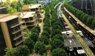 梦幻百花洲游玩攻略 梦幻百花洲游玩攻略